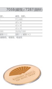 瑞普 胸牌标识牌校牌名牌 7058水晶-磁性标识牌-拉丝银 标