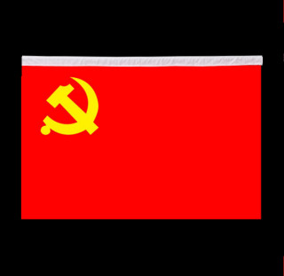 赛兄纳弟 旗杆 挂墙式纳米党旗-5号 标 . 准