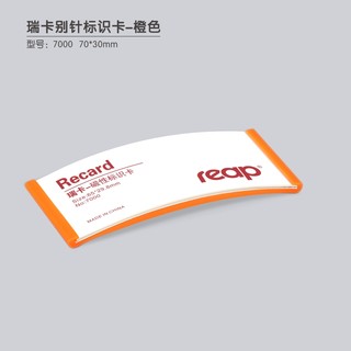 瑞普 标示牌胸牌胸卡形象卡 7227别针 橙色 65*30mm